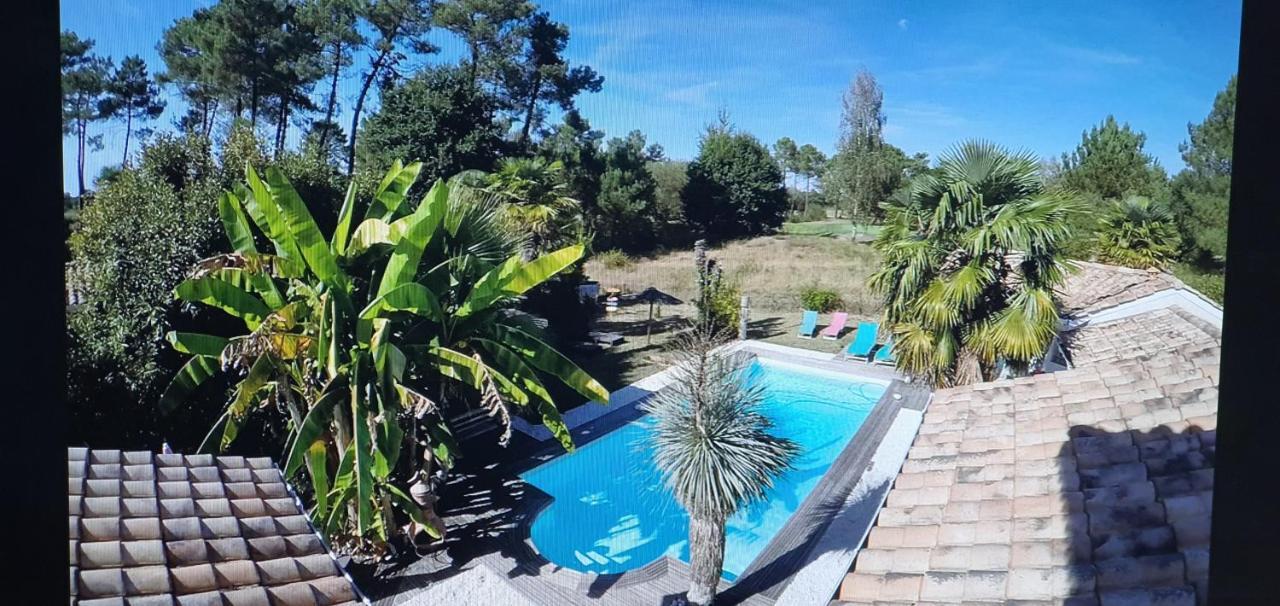 Villa Caraibes 居让梅斯特拉 外观 照片